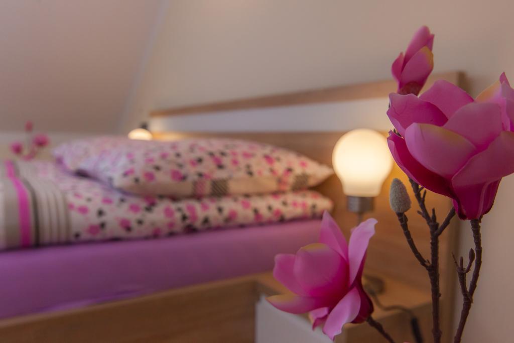 Apartamenty Galeria Jordanowska Экстерьер фото